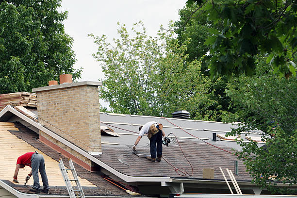 Best Roof Gutter Cleaning  in Olney, IL