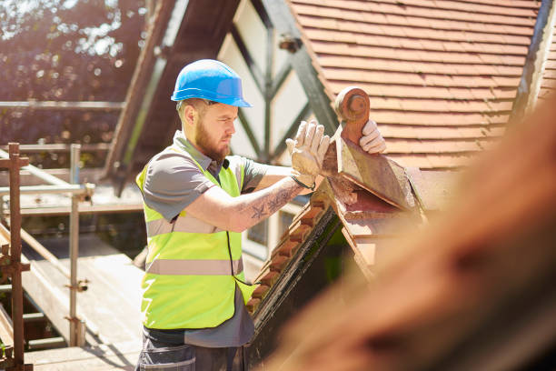 Best Emergency Roof Repair  in Olney, IL